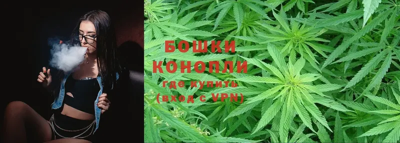 Канабис SATIVA & INDICA  Приволжск 